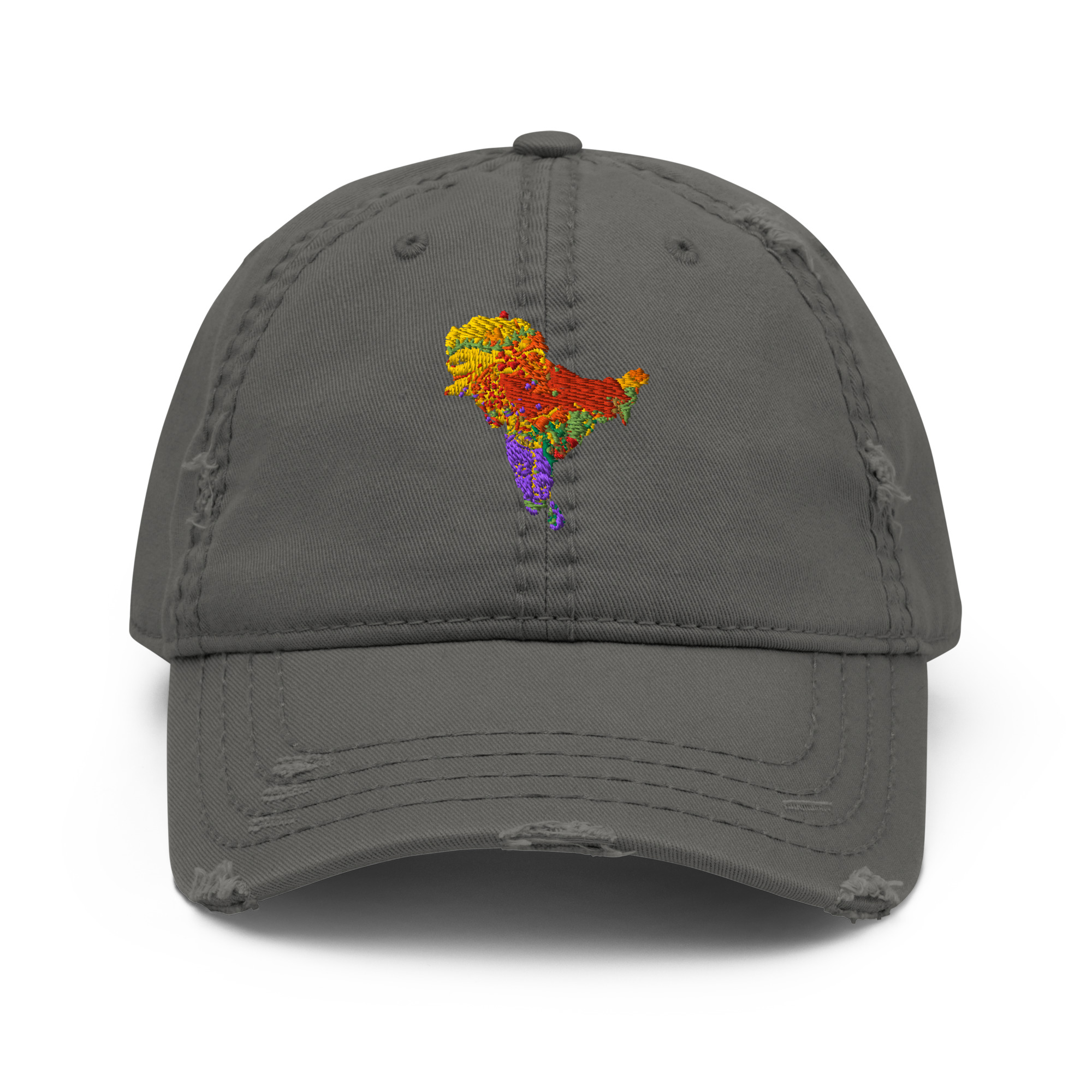 SAHM Distressed Heritage Cap | Vintage South Asian Heritage Month Cap