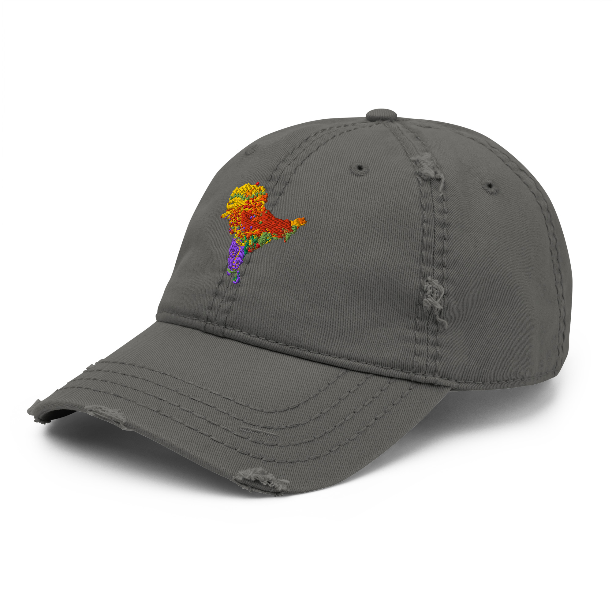 SAHM Distressed Heritage Cap | Vintage South Asian Heritage Month Cap - Image 4