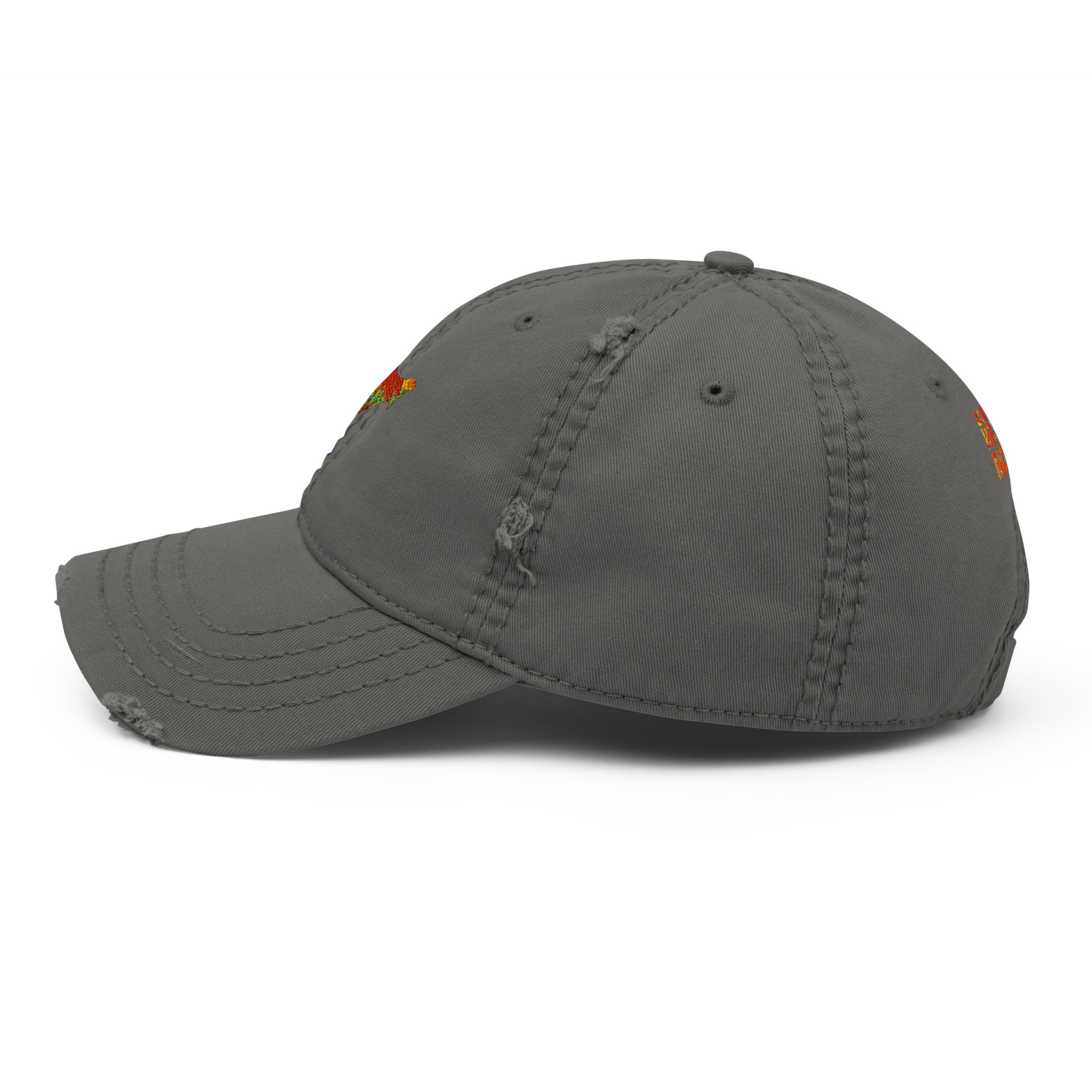 SAHM Distressed Heritage Cap | Vintage South Asian Heritage Month Cap - Image 5