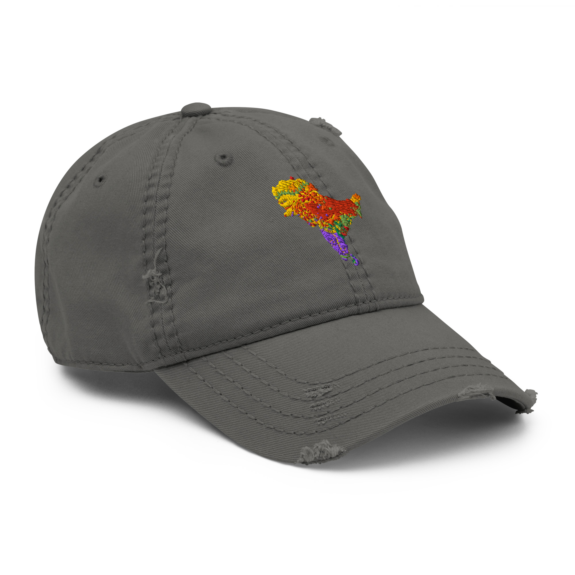 SAHM Distressed Heritage Cap | Vintage South Asian Heritage Month Cap - Image 3